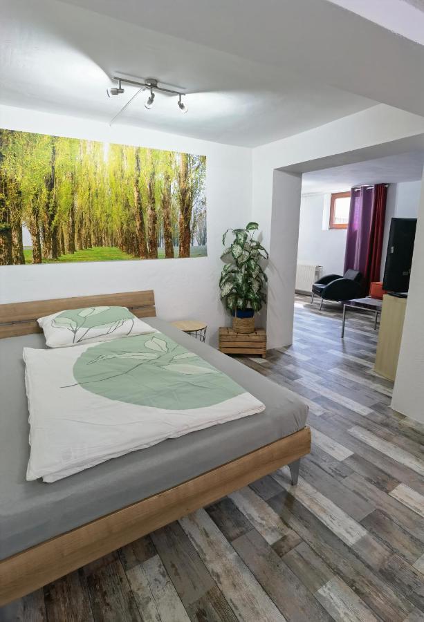 Ferienwohnung - Appartement "Painted Horse" Im Herzen Des Pfaelzer Waldes Reichenbach-Steegen Eksteriør bilde